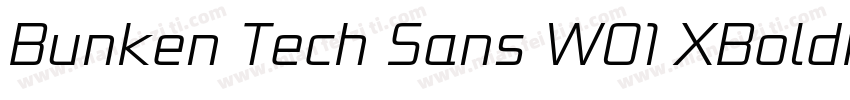 Bunken Tech Sans W01 XBoldIt Regular字体转换
